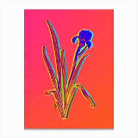 Neon Crimean Iris Botanical in Hot Pink and Electric Blue n.0431 Canvas Print