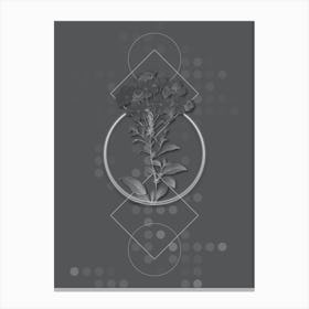 Vintage Plumbago Caerulea Botanical with Line Motif and Dot Pattern in Ghost Gray n.0356 Canvas Print