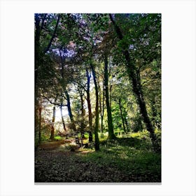 Woods Canvas Print