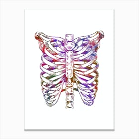 Chest Anatomy Black And White 1 Canvas Print