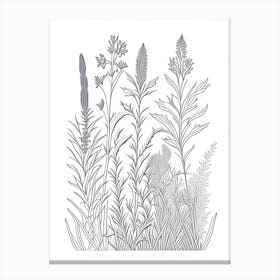 Lavender Herb William Morris Inspired Line Drawing 1 Canvas Print