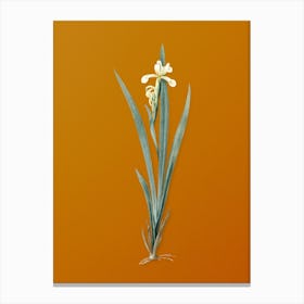 Vintage Yellow Banded Iris Botanical on Sunset Orange n.0922 Canvas Print