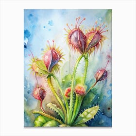 Cactus Flower Canvas Print