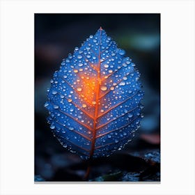 Blue Leaf With Dew Drops 1 Canvas Print