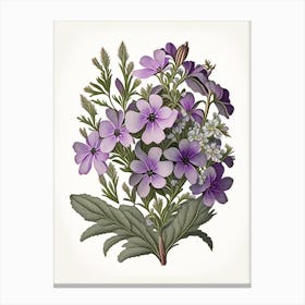 Phlox Floral 1 Botanical Vintage Poster Flower Canvas Print