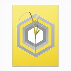 Botanical Cape Tulip in Gray and Yellow Gradient n.308 Canvas Print
