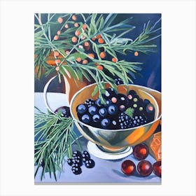 Juniper Berry Spices And Herbs Oil Painting Canvas Print