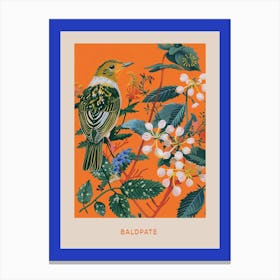 Spring Birds Poster Baldpate 1 Canvas Print