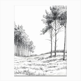 Pencil Drawing Of Trees Canvas Print