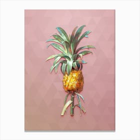 Vintage Pineapple Botanical Art on Crystal Rose n.0301 Canvas Print