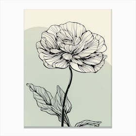 Line Art Marigold Flowers Illustration Neutral 15 Canvas Print
