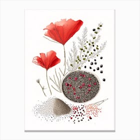 Poppy Seeds Spices And Herbs Pencil Illustration 5 Canvas Print