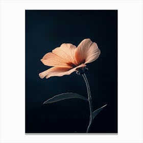 Single Pink Flower 3 Canvas Print