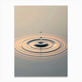 Ripple Effect Canvas Print