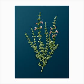 Vintage Cat Thyme Plant Botanical Art on Teal Blue n.0149 Canvas Print