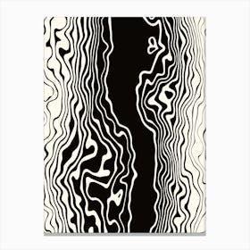 Black and White Wavy Squiggle Stripes Canvas Print