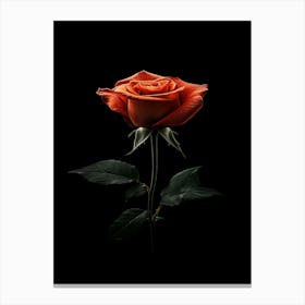 Orange Rose On Black Background 21 Canvas Print