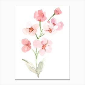 Pink Flowers Watercolor Painting Canvas Print