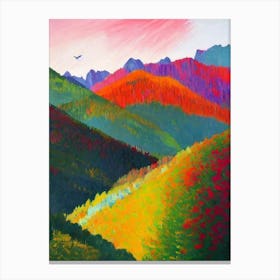 Dolomiti Bellunesi National Park 1 Italy Abstract Colourful Canvas Print
