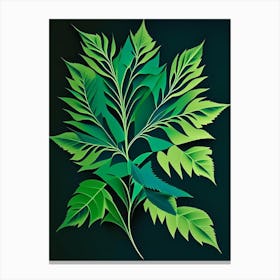 Pennyroyal Leaf Vibrant Inspired 3 Canvas Print