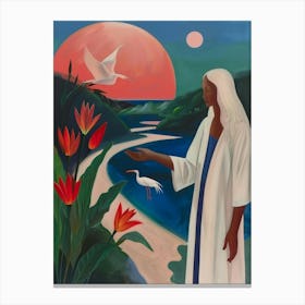 Jesus And Birds Canvas Print