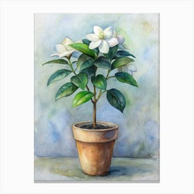 Watercolor Of A Gardenia Canvas Print