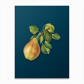 Vintage Pear Branch Botanical Art on Teal Blue n.0215 Canvas Print