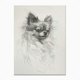 Pomeranian Dog Charcoal Line 4 Canvas Print