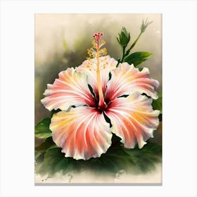 Hibiscus Flower 14 Canvas Print