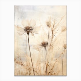 Boho Dried Flowers Love In A Mist Nigella 1 Canvas Print
