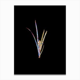 Stained Glass Yellow Iris Mosaic Botanical Illustration on Black n.0066 Canvas Print