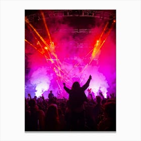 Crowd Of People At A Concert Canvas Print