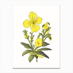 Sticky Monkeyflower Wildflower Vintage Botanical Canvas Print