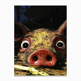 Pig With Big Eyes 1 Canvas Print