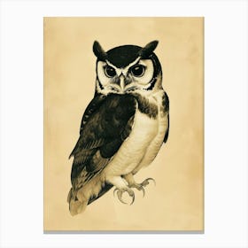 Spectacled Owl Vintage Illustration 2 Canvas Print