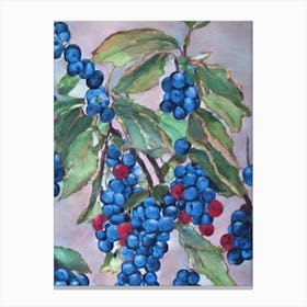 Huckleberry 1 Classic Fruit Canvas Print