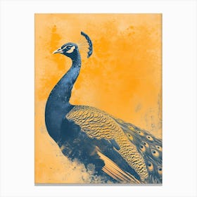 Orange & Blue Vintage Peacock In The Wild 2 Canvas Print