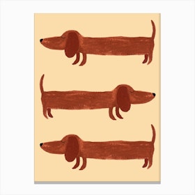 Funky Dogs Canvas Print