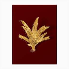 Vintage Boat Lily Botanical in Gold on Red n.0599 Canvas Print