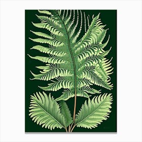 Japanese Tassel Fern 6 Vintage Botanical Poster Canvas Print