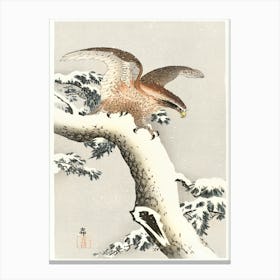 Eagle On A Tree Branch (1887 1930), Ohara Koson Canvas Print