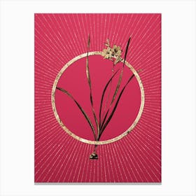 Gold Gladiolus Lineatus Glitter Ring Botanical Art on Viva Magenta n.0267 Canvas Print