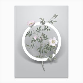 Vintage Pink Hedge Rose in Bloom Minimalist Botanical Geometric Circle on Soft Gray n.0016 Canvas Print