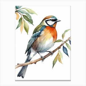 Beautiful Bird On Branch Watercolor Painting (7) Canvas Print