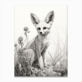 Fennec Fox In A Field Pencil Drawing 1 Canvas Print