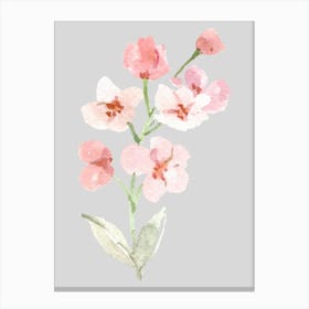 Pink Flowers Watercolor Painting 1 Canvas Print