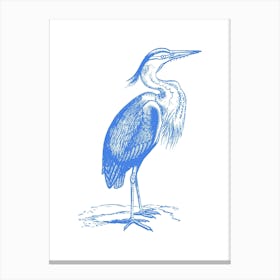 Blue Heron Canvas Print