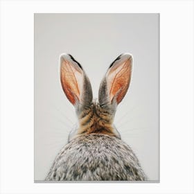 Rabbit'S Ears Canvas Print