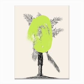 Tropical Tree Green Canvas Print