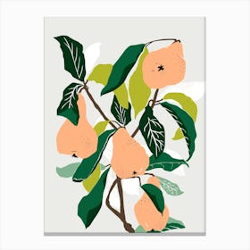 Orange Pears Canvas Print